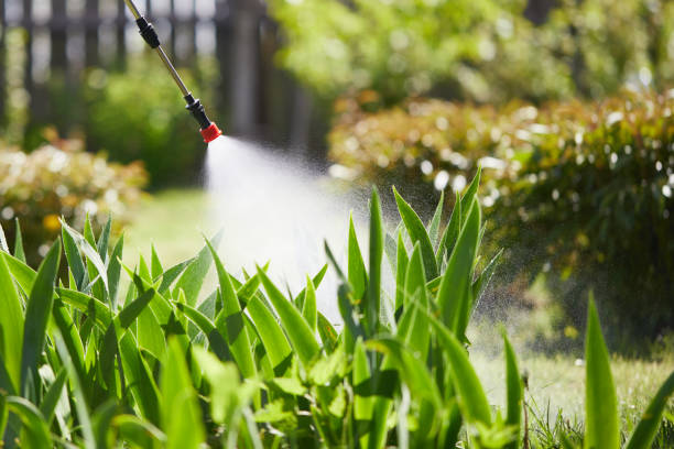 Tamper-Resistant Bait Stations for Rodents in Blackwood
