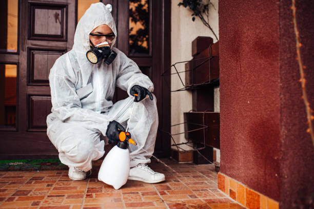 Attic and Crawl Space Rodent Treatment in Blackwood